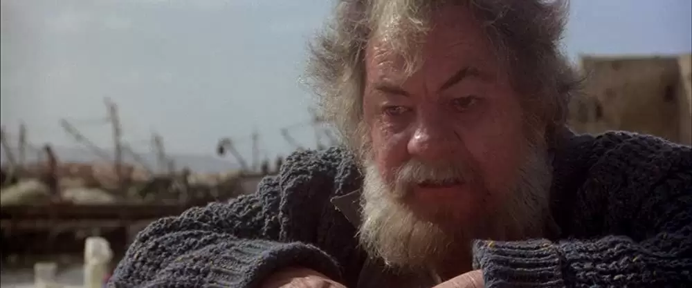 オーメン2／ダミアンの画像