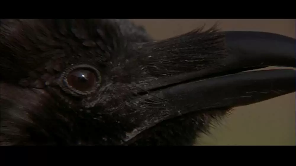 オーメン2／ダミアンの画像