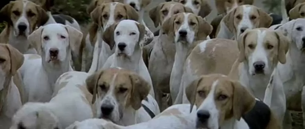 オーメンIII 最後の闘争の画像