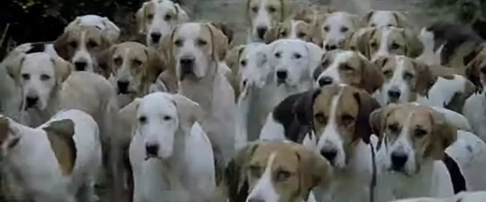 オーメンIII 最後の闘争の画像