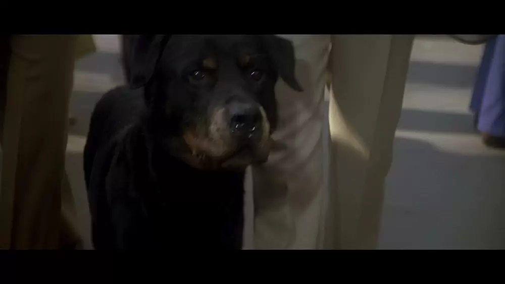 オーメンIII 最後の闘争の画像