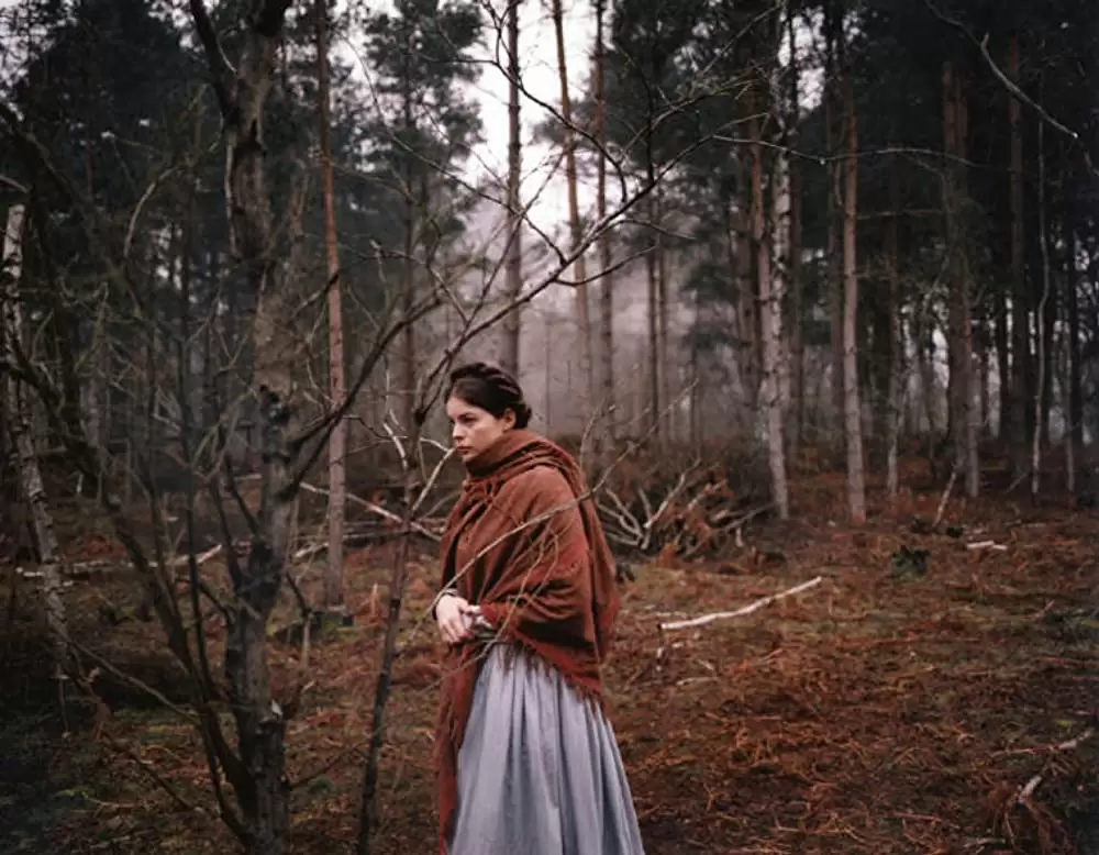 「オネーギンの恋文」リブ・タイラーの画像