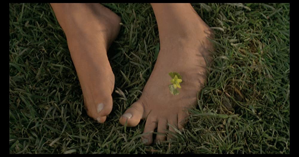 怪人スワンプシングの画像