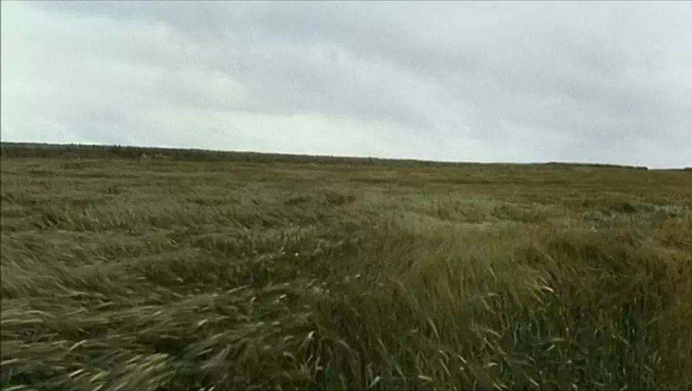 カスパー・ハウザーの謎の画像