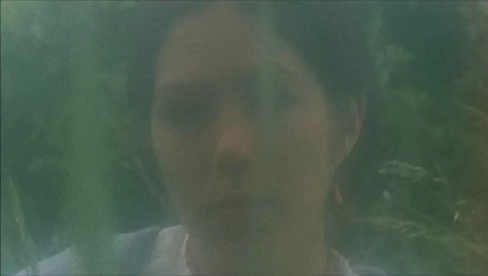 カスパー・ハウザーの謎の画像