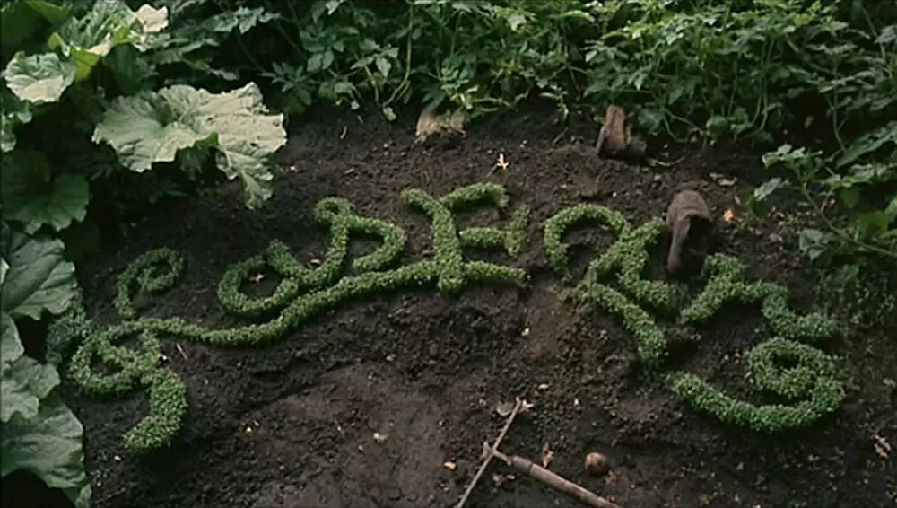 カスパー・ハウザーの謎の画像