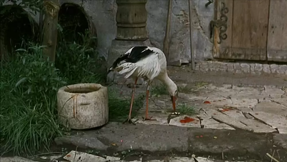 カスパー・ハウザーの謎の画像