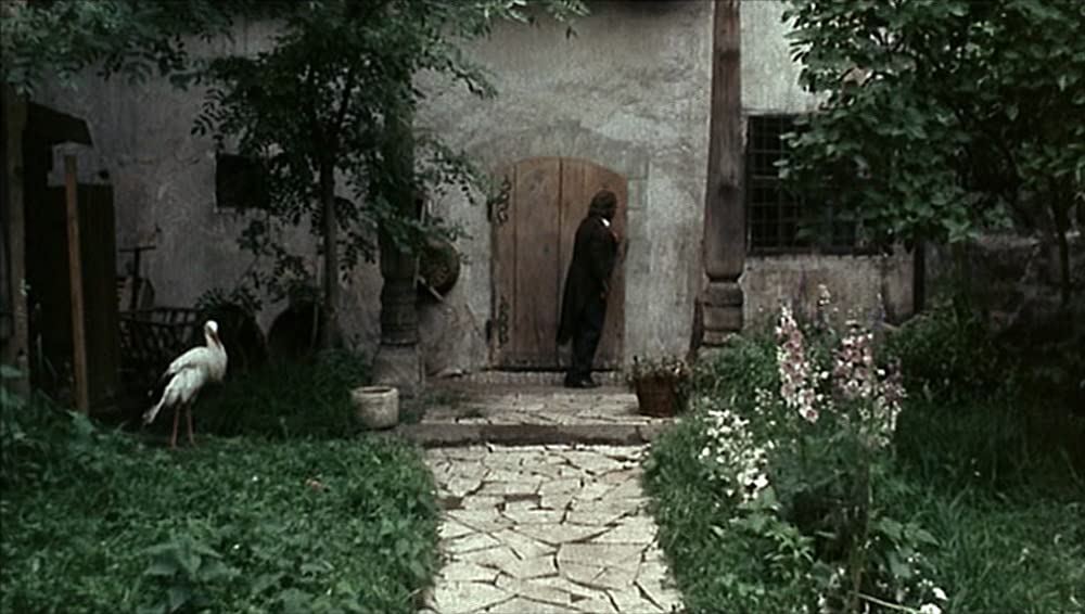 カスパー・ハウザーの謎の画像