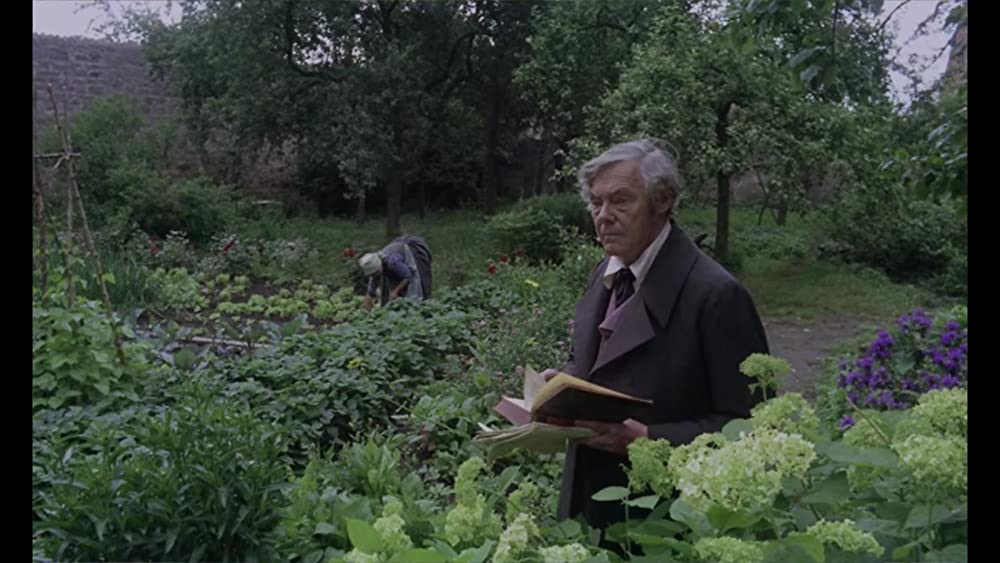 カスパー・ハウザーの謎の画像