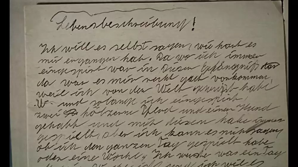 カスパー・ハウザーの謎の画像