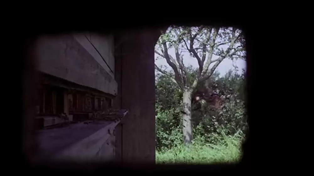 カスパー・ハウザーの謎の画像