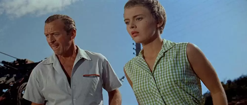 悲しみよこんにちはの画像