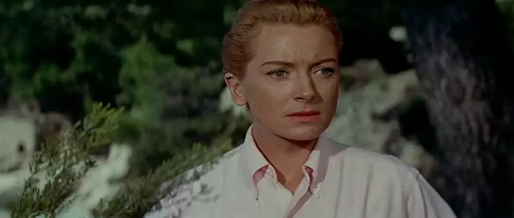 悲しみよこんにちはの画像