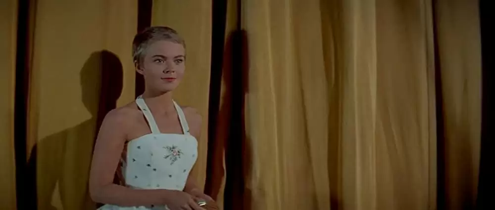 悲しみよこんにちはの画像