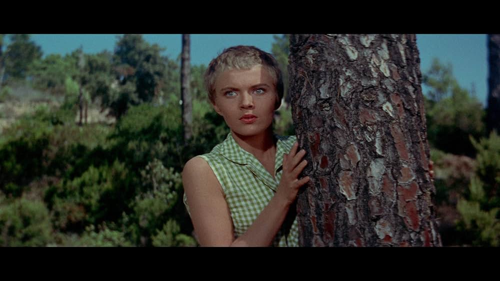 悲しみよこんにちはの画像