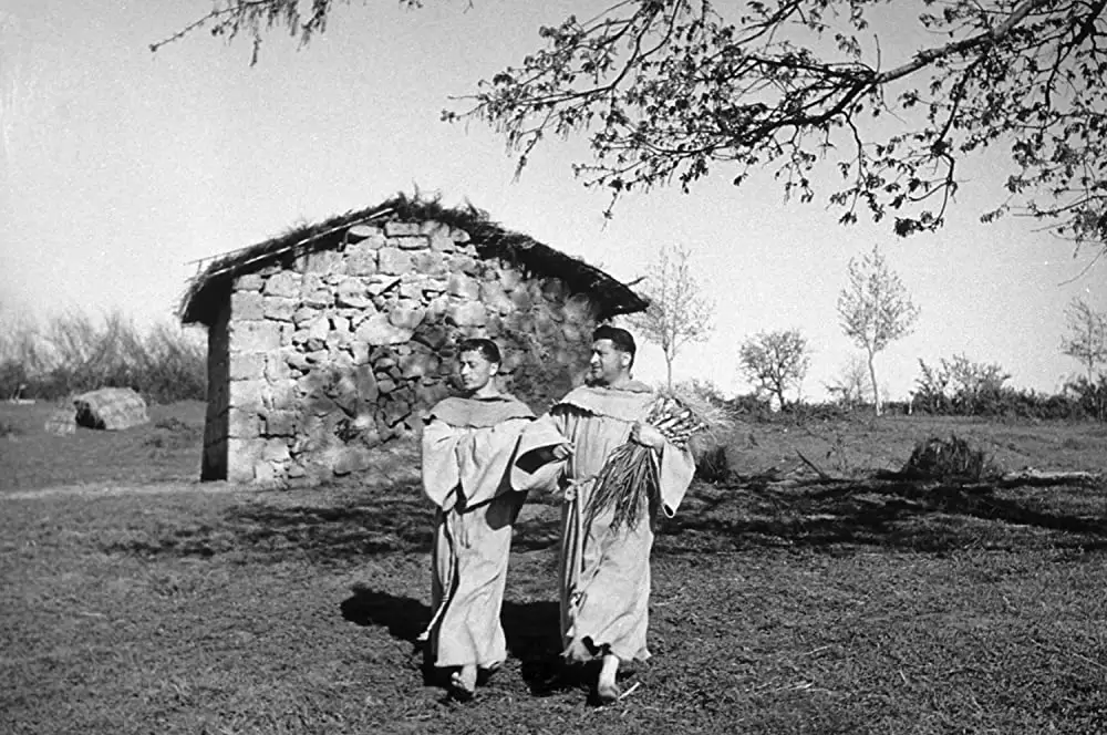 神の道化師、フランチェスコの画像