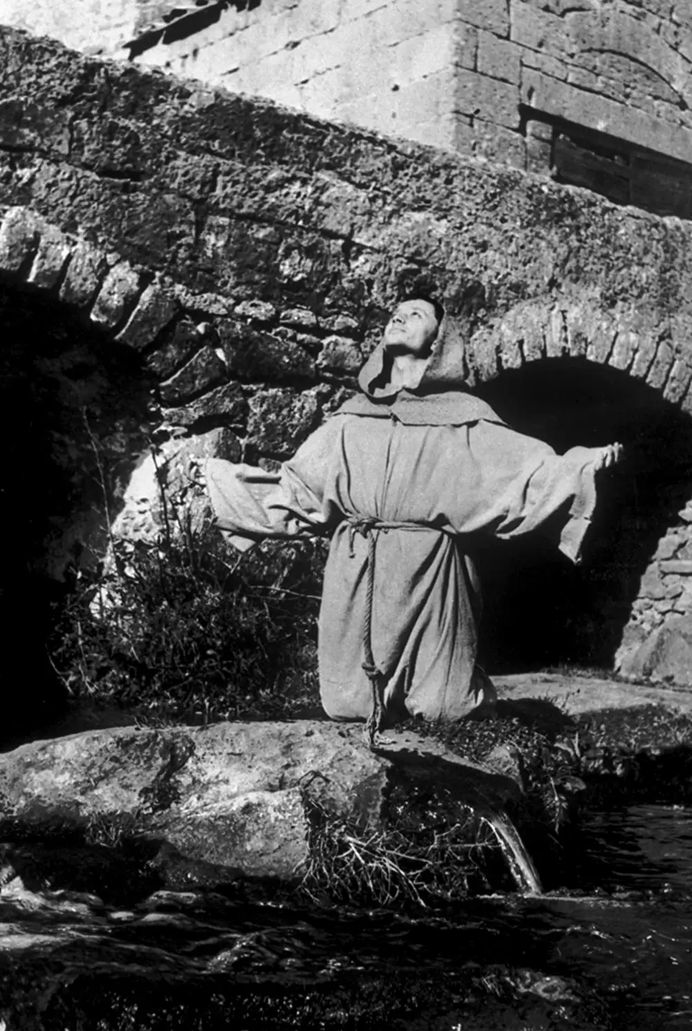 神の道化師、フランチェスコの画像