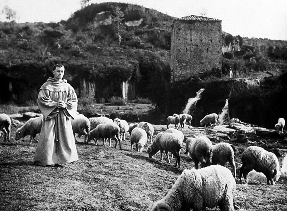 神の道化師、フランチェスコの画像