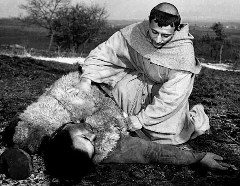 神の道化師、フランチェスコの画像