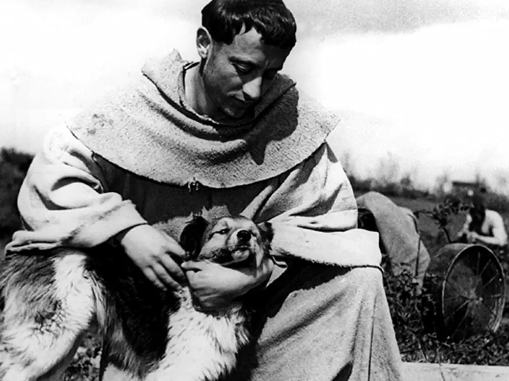 神の道化師、フランチェスコの画像