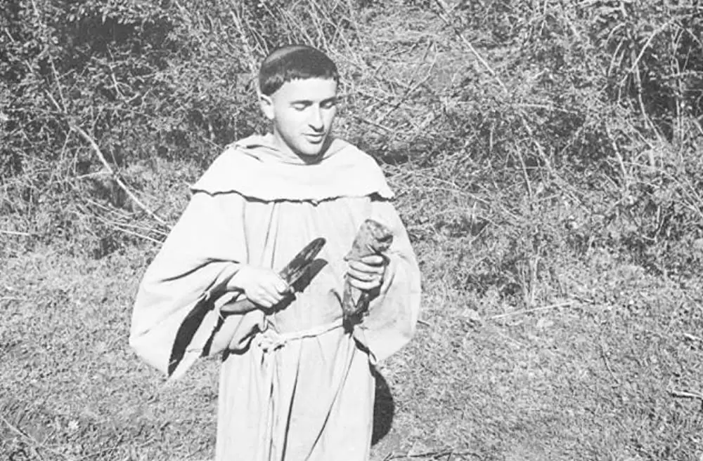 神の道化師、フランチェスコの画像