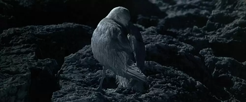 「かもめのジョナサン」ジェームズ・フランシスカスの画像