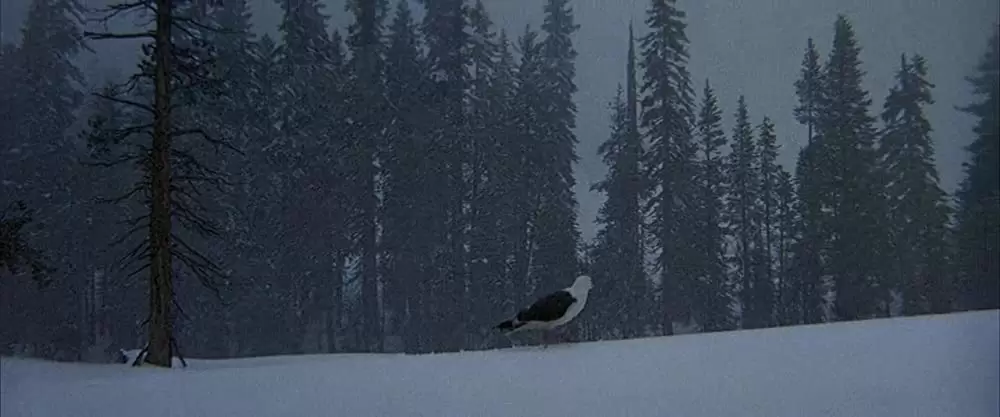 「かもめのジョナサン」ジェームズ・フランシスカスの画像