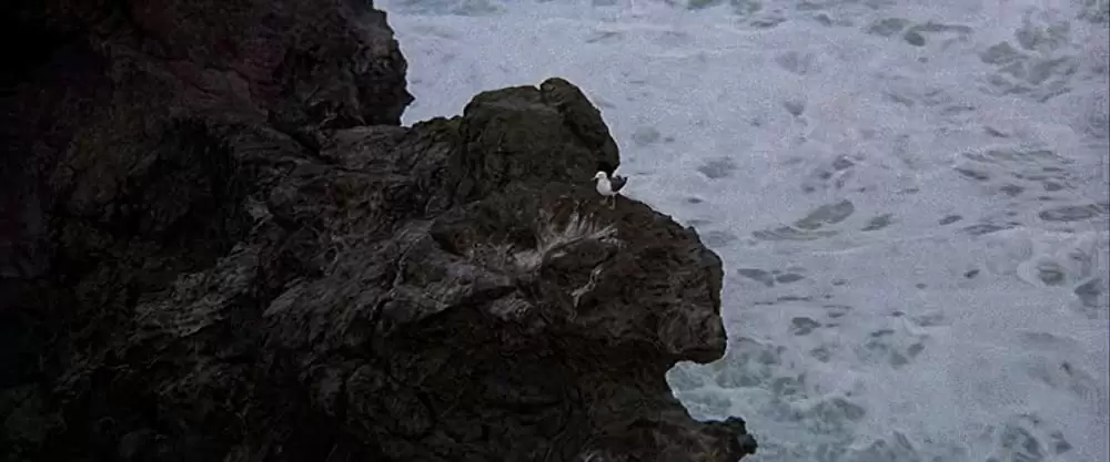 「かもめのジョナサン」ジェームズ・フランシスカスの画像