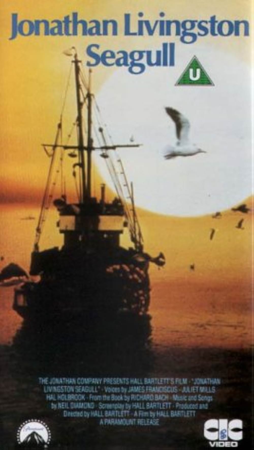 かもめのジョナサンの画像