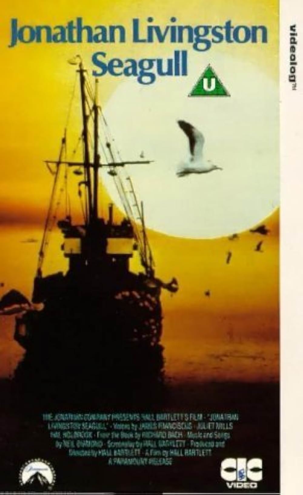 かもめのジョナサンの画像