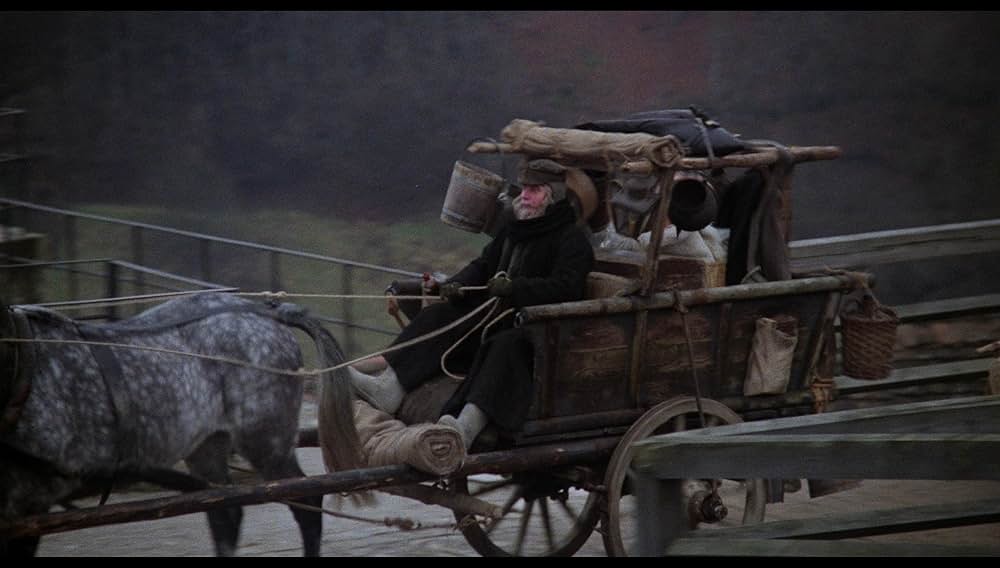 華麗なる相続人の画像