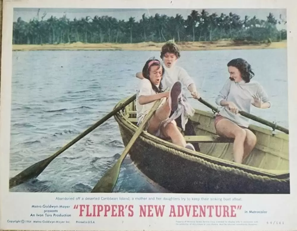 頑張れフリッパーの画像