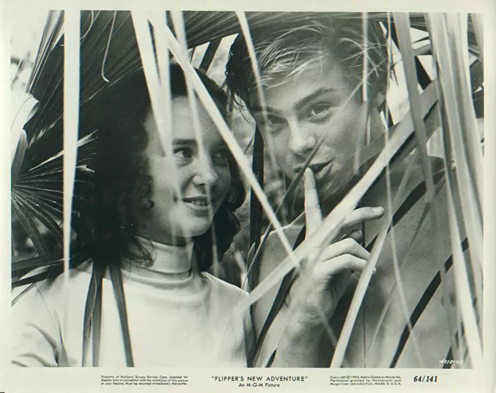 頑張れフリッパーの画像