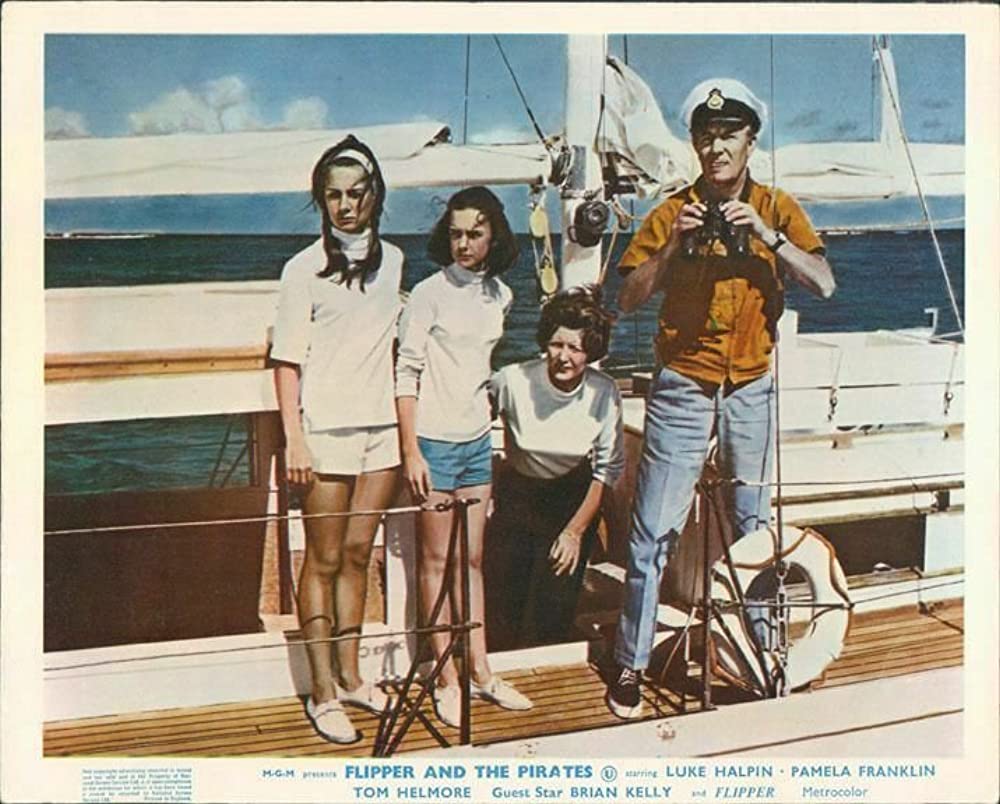 頑張れフリッパーの画像