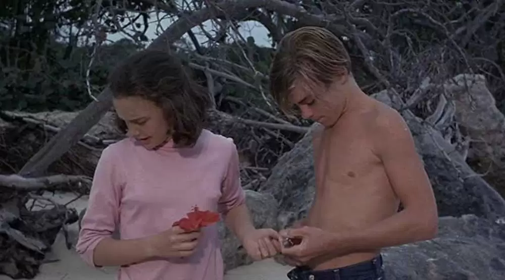 頑張れフリッパーの画像