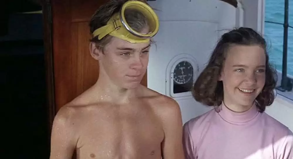 頑張れフリッパーの画像