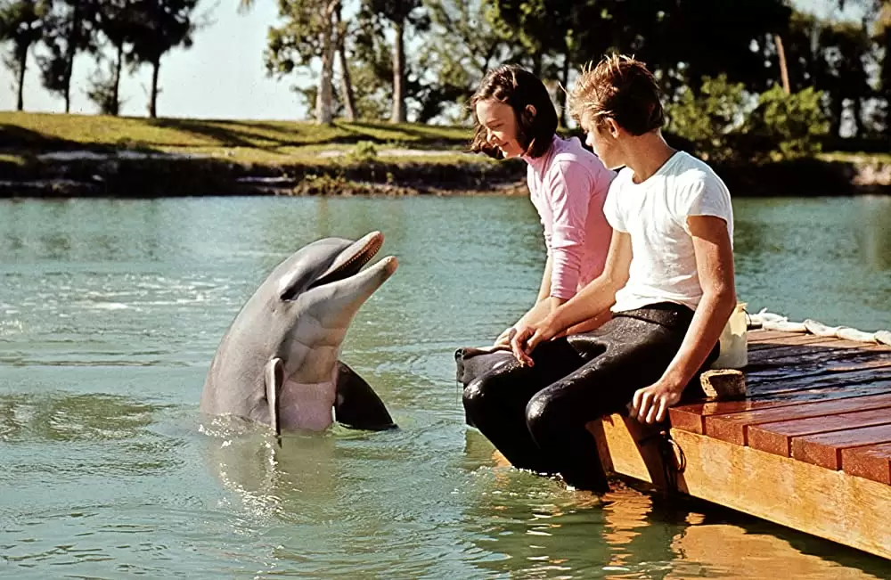 頑張れフリッパーの画像