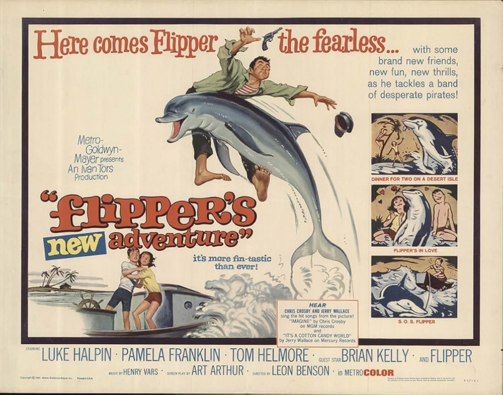 頑張れフリッパーの画像