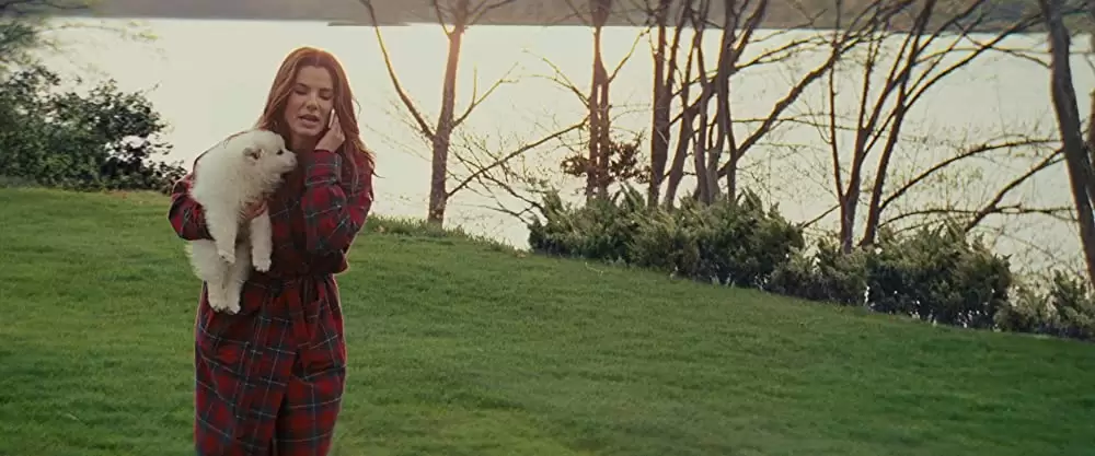 「あなたは私の婿になる」サンドラ・ブロックの画像