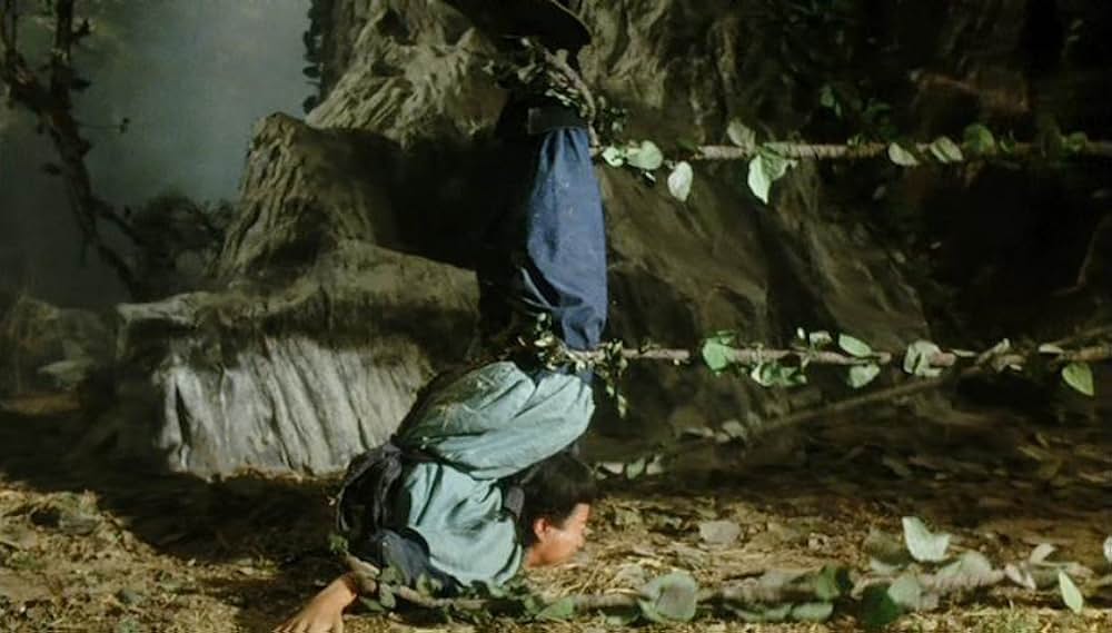 カンフー・カルト・マスター／魔教教主の画像