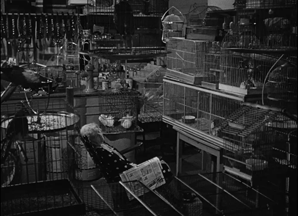 キャット・ピープルの画像