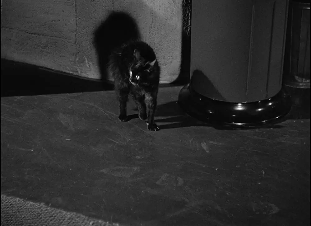 キャット・ピープルの画像