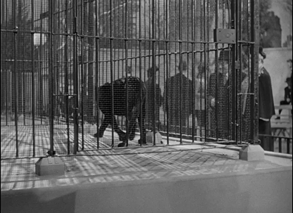 キャット・ピープルの画像