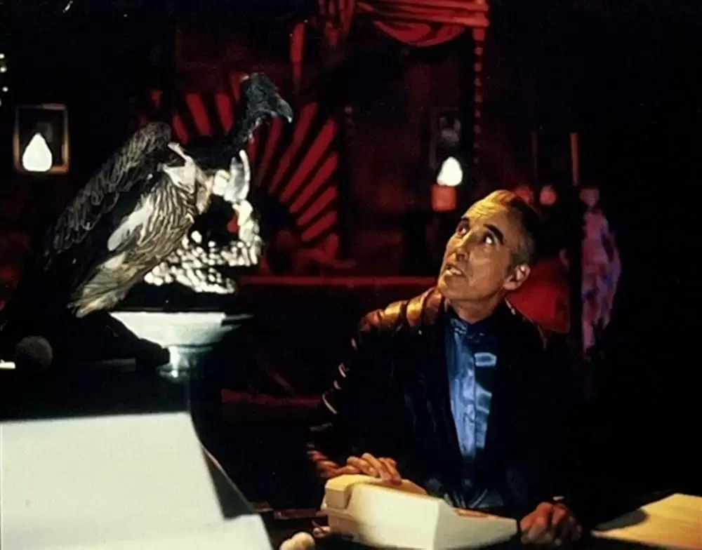 キャプテン・ザ・ヒーロー／悪人は許さないの画像