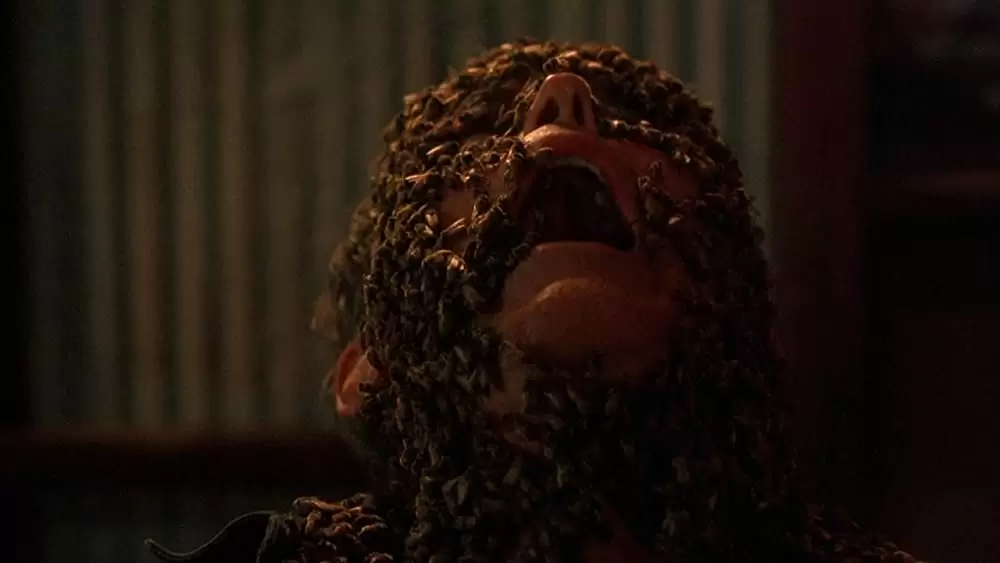 キャンディマン2の画像