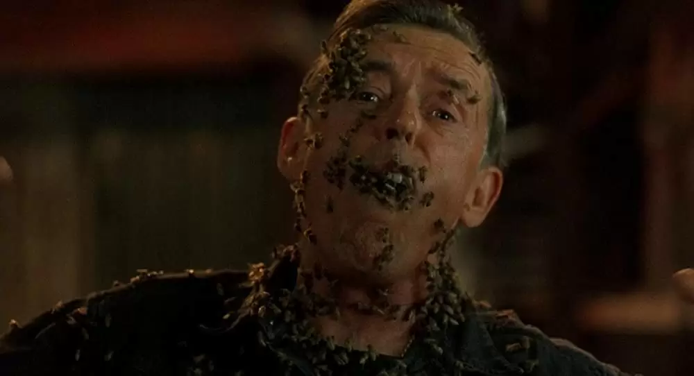 キャンディマン2の画像