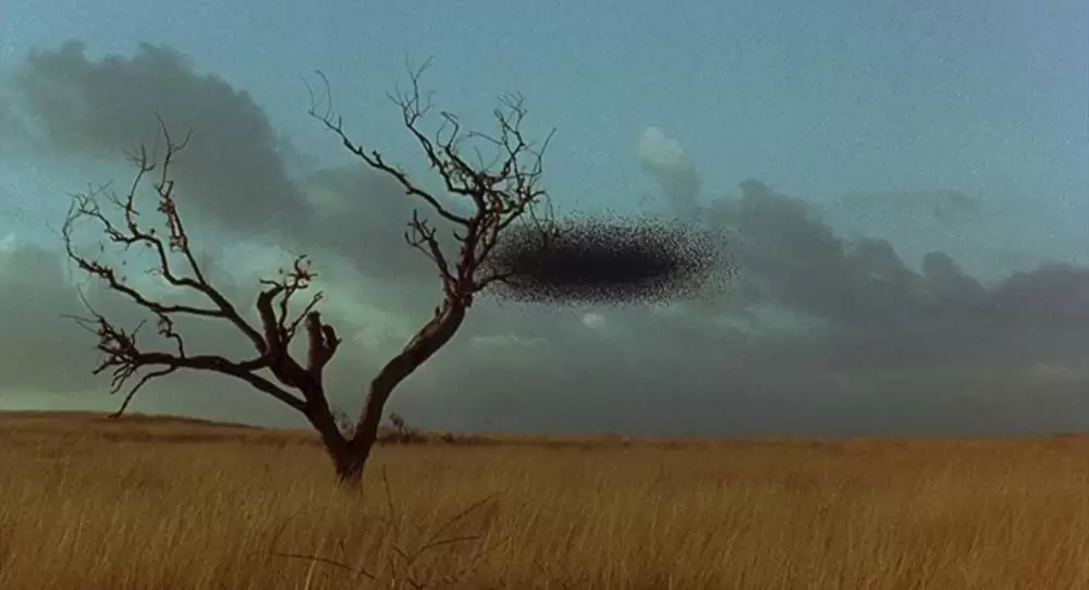 キャンディマン2の画像