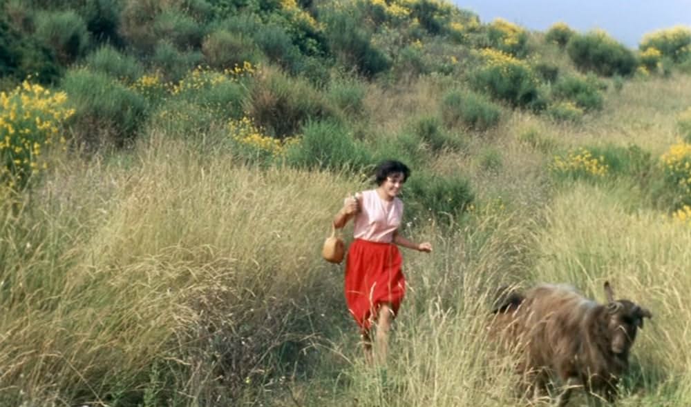 草の上の昼食の画像