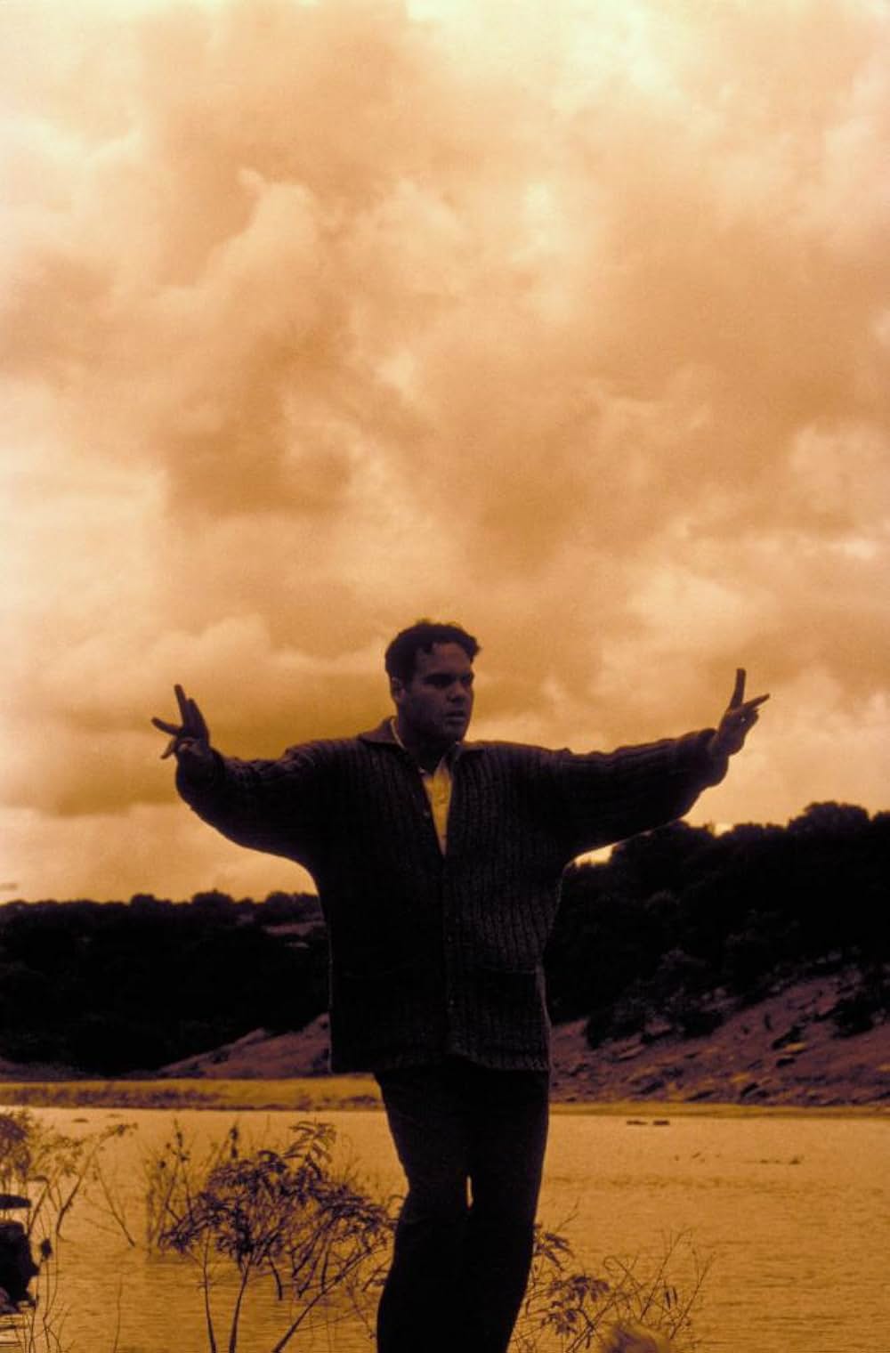 草の上の月の画像