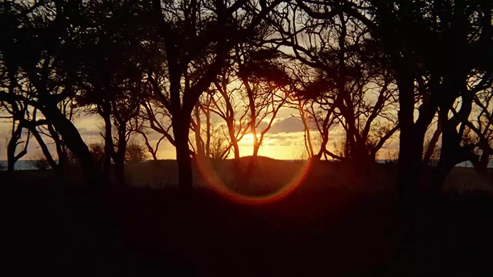 グラマー・エンジェル危機一発の画像